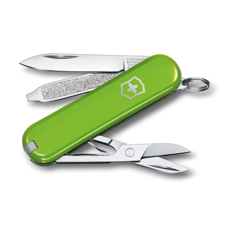 Scyzoryk Classic SD Smash Avocado zielony Victorinox