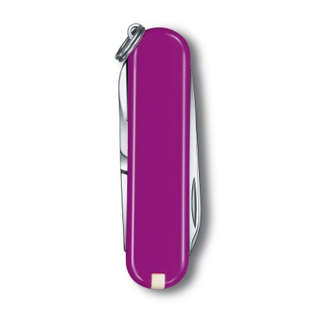 Scyzoryk Classic SD Tasty Grape fioletowy Victorinox